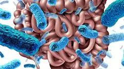 especializacion online microbiota intestinal enfermeria