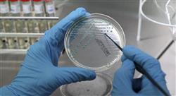 experto universitario microbiota intestinal para enfermería