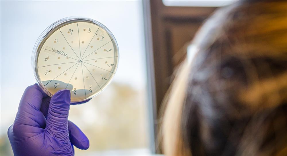 curso microbiota pediatrica enfermeria Tech Universidad