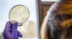curso microbiota pediatrica enfermeria