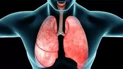 online spezialisierung mikrobiota atemwege allergien krankenpflege