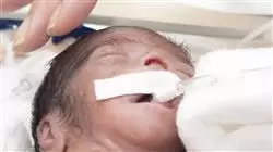 ##IMAGE##