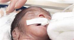 especializacion cuidados críticos neonatales para enfermería
