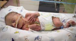 especializacion online cuidados críticos neonatales para enfermería