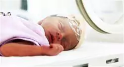 estudiar cuidados críticos neonatales para enfermería