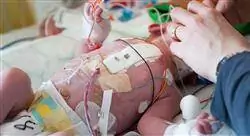 experto cuidados críticos neonatales para enfermería