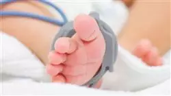 ##IMAGE##