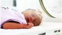 ##IMAGE##