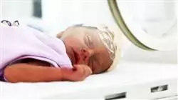 ##IMAGE##