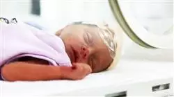 ##IMAGE##