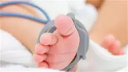 ##IMAGE##