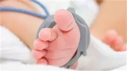 ##IMAGE##