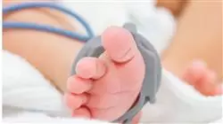 ##IMAGE##