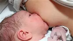 ##IMAGE##