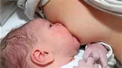 ##IMAGE##