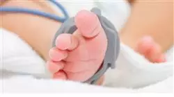 ##IMAGE##