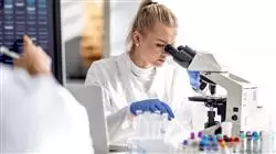 diplomado online investigacion ciencias salud