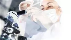 ##IMAGE##