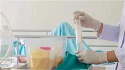##IMAGE##