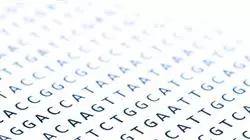 ##IMAGE##