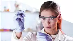##IMAGE##