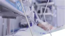 ##IMAGE##