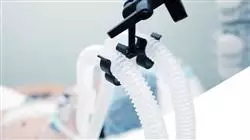 ##IMAGE##