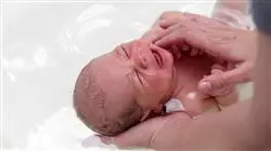 ##IMAGE##