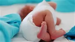 ##IMAGE##