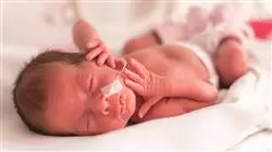 ##IMAGE##