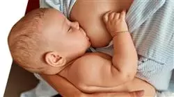 ##IMAGE##