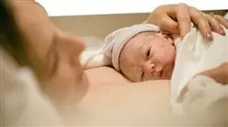 ##IMAGE##