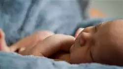 ##IMAGE##
