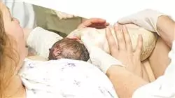 ##IMAGE##