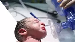 ##IMAGE##