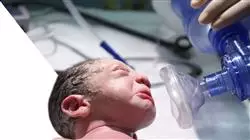 ##IMAGE##