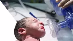 ##IMAGE##