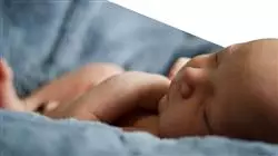 ##IMAGE##