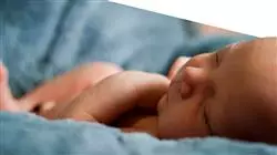 ##IMAGE##
