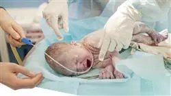 especializacion online unidades parto natural matronas