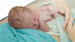 ##IMAGE##