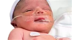 ##IMAGE##