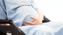 ##IMAGE##