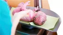 ##IMAGE##