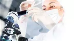 ##IMAGE##