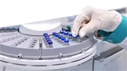 ##IMAGE##