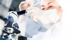 ##IMAGE##