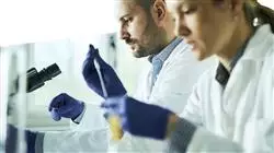 ##IMAGE##