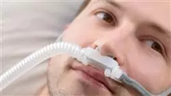 ##IMAGE##