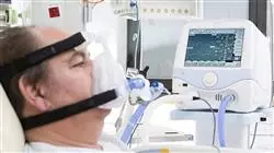 ##IMAGE##
